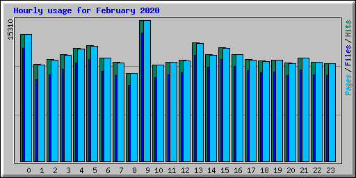 Hourly usage for February 2020