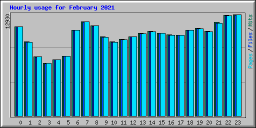 Hourly usage for February 2021