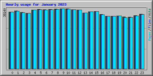 Hourly usage for January 2023